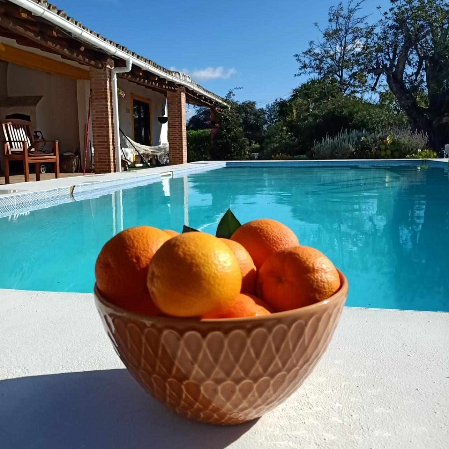 La Quinta Casa Com Piscina Privada Villa Loulé Eksteriør billede