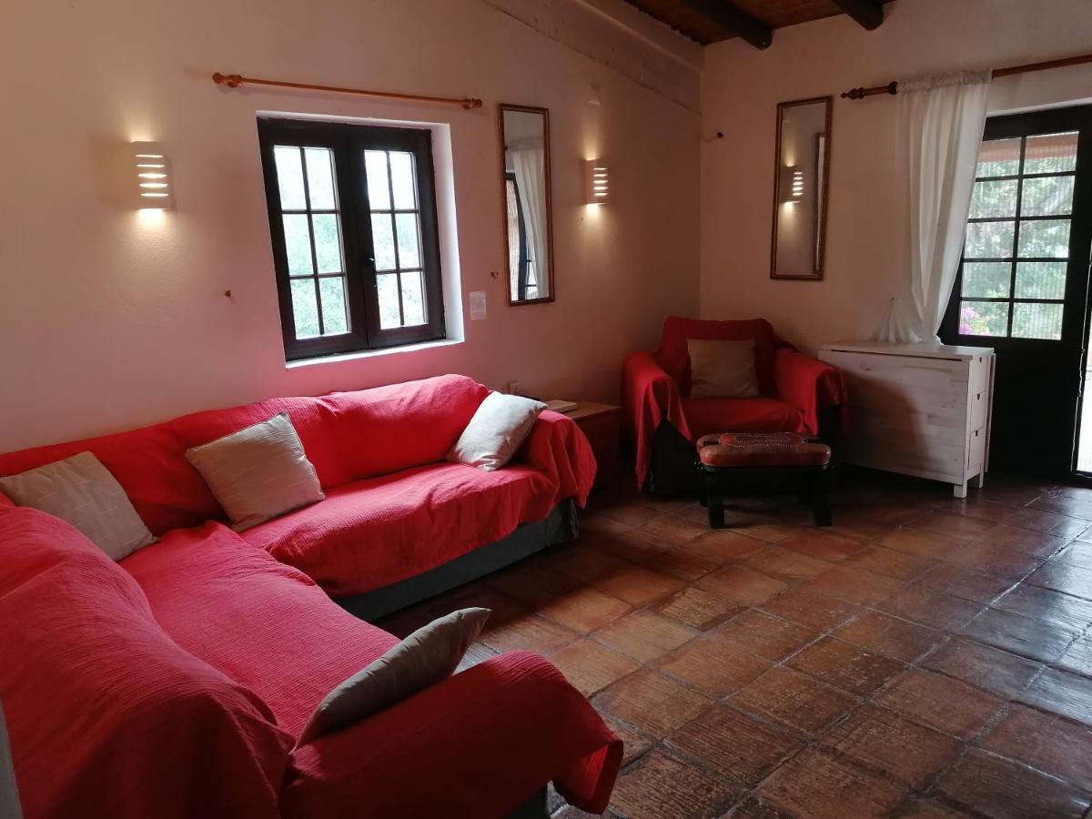 La Quinta Casa Com Piscina Privada Villa Loulé Eksteriør billede